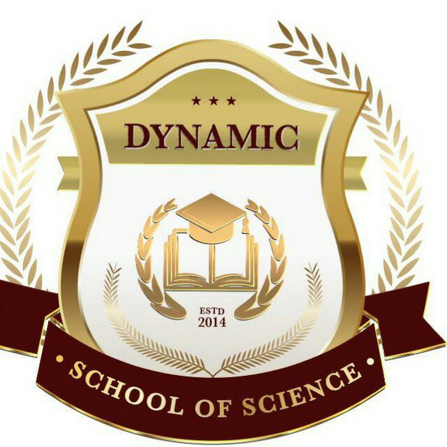Dynamic School of Science Boraj logo
